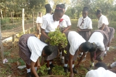 Deputy-Principal-and-Environmental-Club-Clearing-for-Planting-2