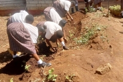 Environmental-Club-Planting-Flowers