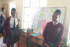 Kiine-Girls-Regionals-in-Science-and-Engineering-Fair-2024-at-Muranga-High-School-3