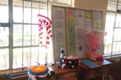 Kiine-Girls-Regionals-in-Science-and-Engineering-Fair-2024-at-Muranga-High-School-4