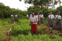 form-4-kcse-agriculture-project-2021-2