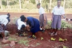 kiine-girls-environmental-club-led-by-the-deputy-mrs-naomi-chania-6