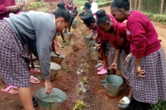 kiine-girls-environmental-club-led-by-the-deputy-mrs-naomi-chania